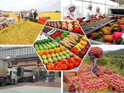 CHO THUÊ CONTAINER LẠNH TẠI THÁI NGUYÊN – GIẢI PHÁP BẢO QUẢN CHUYÊN NGHIỆP CHO DOANH NGHIỆP